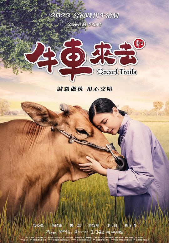 网友昵称：访客